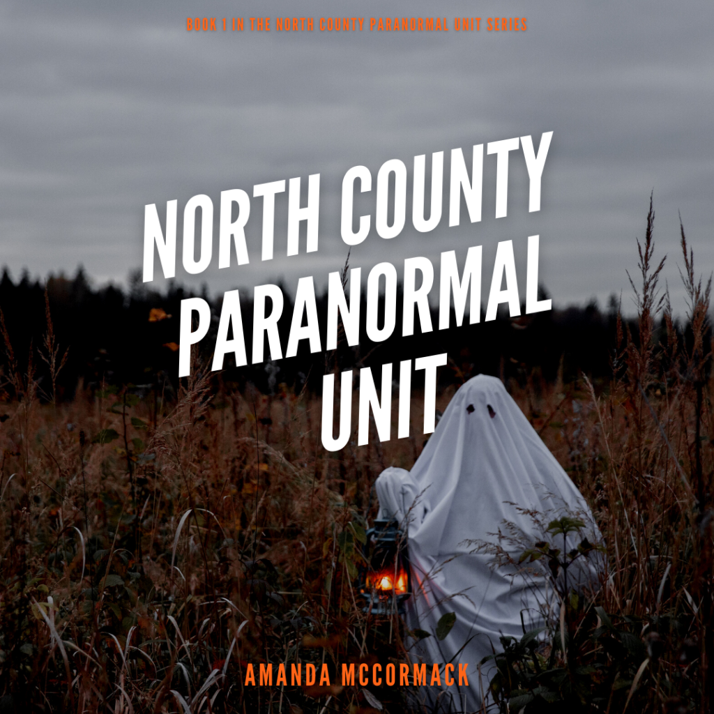 A corn field underneath a gray, cloudy sky. In the front of the field is someone in a ghost costume made of a sheet with eyeholes cut out. They hold a lit lantern. Above the image is text reading North County Paranormal Unit