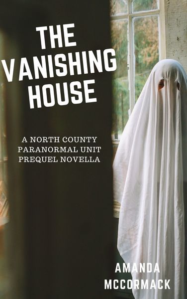 3d book display image of The Vanishing House